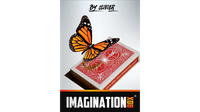 Imagination Box by Olivier Pont