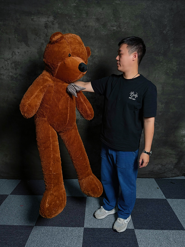 Teddy Bear Appearance MS Magic