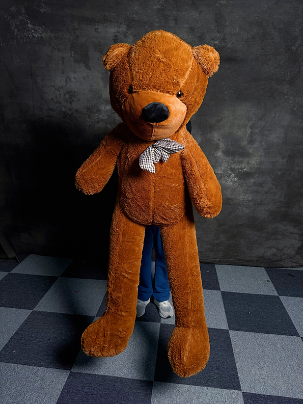 Teddy Bear Appearance MS Magic