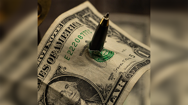 Phoenix by Hanson Chien