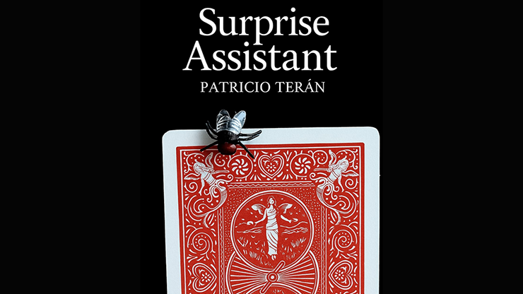 Surprise Assistant by Patricio Teran - Video Download