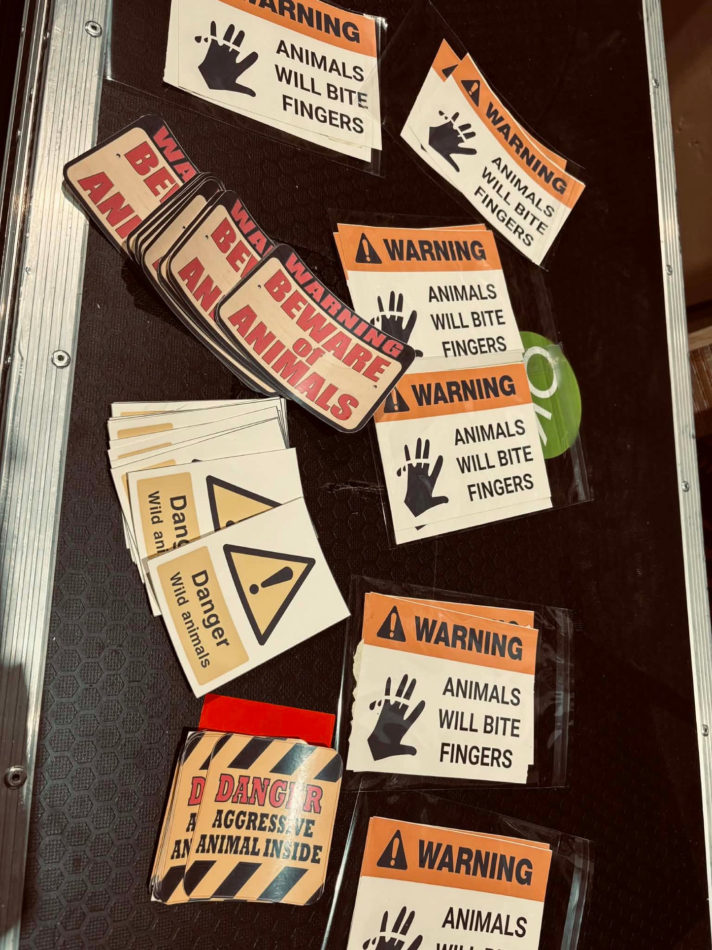 Francis The UNEDUCATED Duck by Thomas Moore + Magicbox