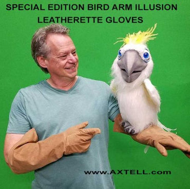 Bird Arm Illusion