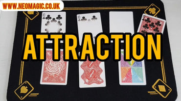 Attraction by Vinny Sagoo