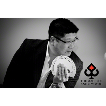 Illuminating Ideas (English) by Andrew Woo - ebook