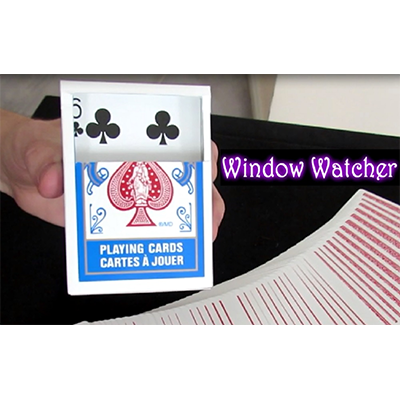 Window Watcher by Aaron Plener - - Video Download