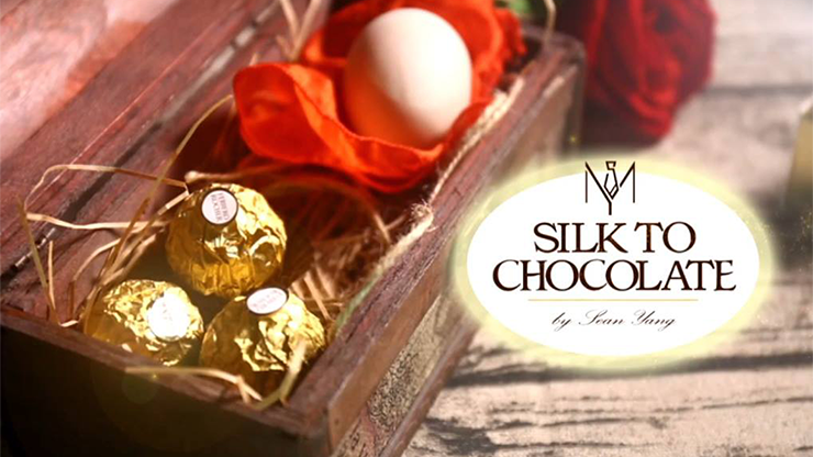 Silk to Chocolate, Ferrero Rocher Sean Yang DELUXE