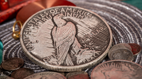 Jumbo Peace Dollar by N2G