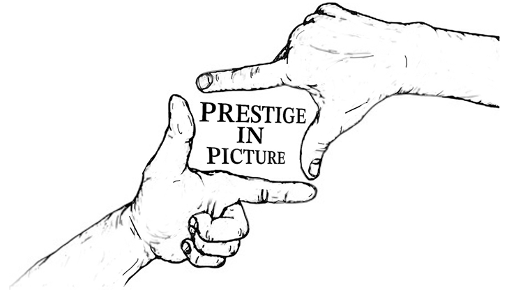 Prestige In Picture by Landon Stark - ebook