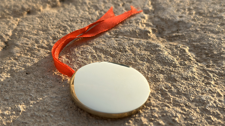 Bronze Enigma by Jackie Zhao and JT Magic