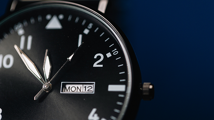 Standard R.W.W. Right Hand (Ben Seidman's Ring Watch Wonder)