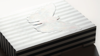 MOTHS (Stripe Edition) by Matthew Palladino