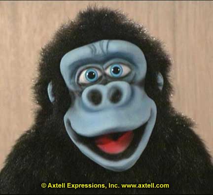 Bongo Gorilla Puppet