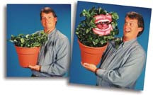 Man Eating Plant Puppet