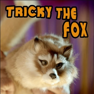 Tricky The Fox Spring Animal