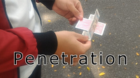 Penetration by Arnold - Video Download