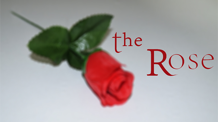 The Rose by Sandro Loporcaro (Amazo) - Video Download