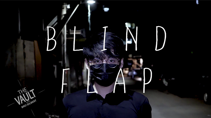 The Vault - Blind Flap Project by PH and Mario Tarasini video DOWNLOAD