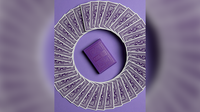 DKNG (Purple Wheel) Playing Cards by Art of Play