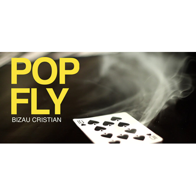 Pop Fly by Bizau Cristian - Video Download